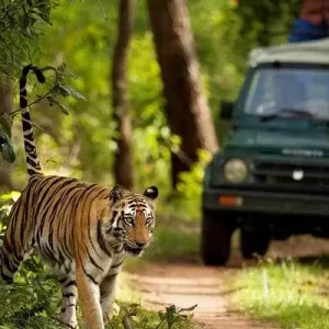 Jim Corbett Tour Package